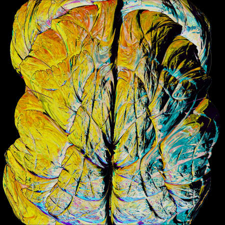 Brainの写真素材