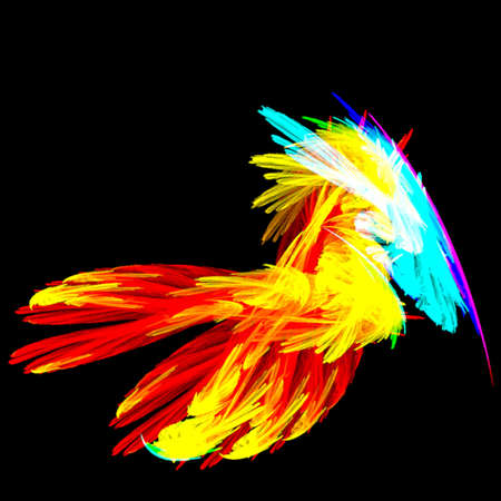 Bonnetの写真素材