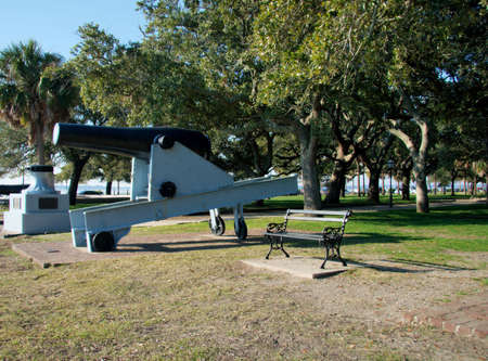  in Parkの写真素材