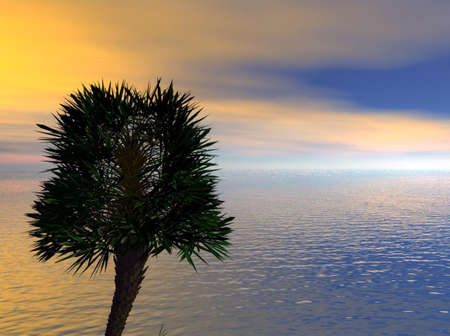 Peacefulの写真素材