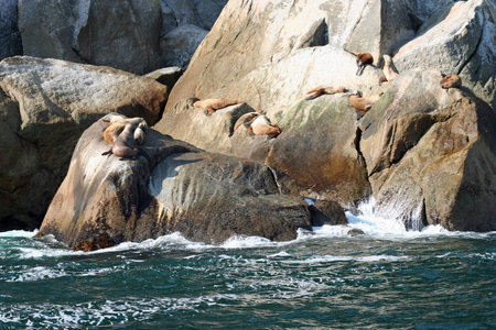 Seals