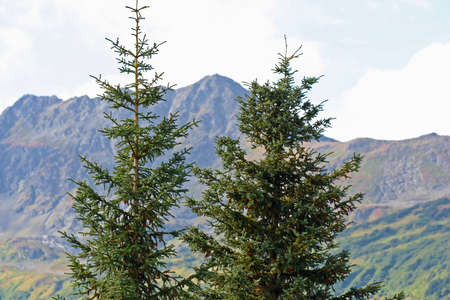 Alaskaの写真素材