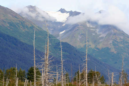 Alaskan Mountainsの写真素材