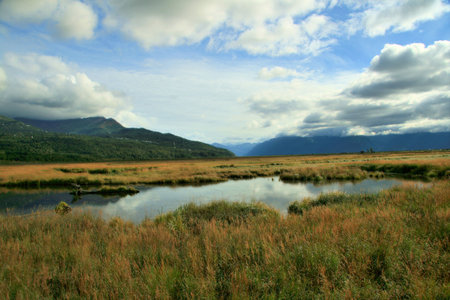 Alaskan Countryの写真素材