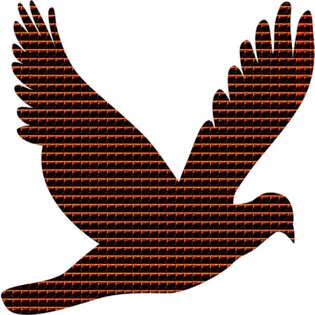 bird