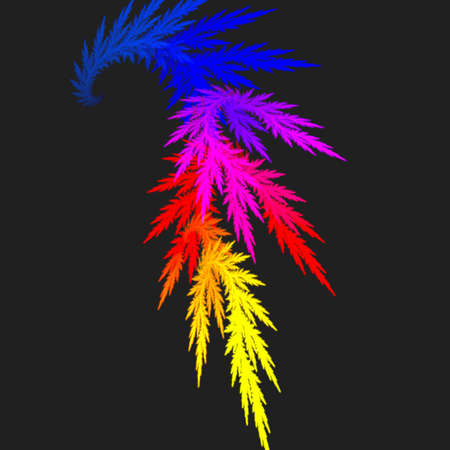 plantの写真素材