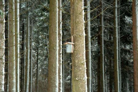 Bird feederの写真素材