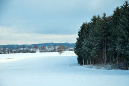 Winterの写真素材