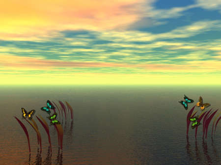 peacefulの写真素材