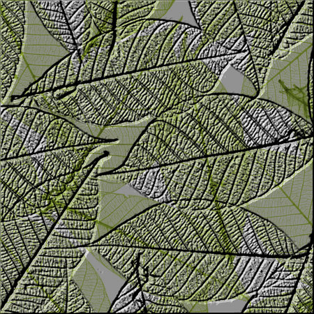 textureの写真素材