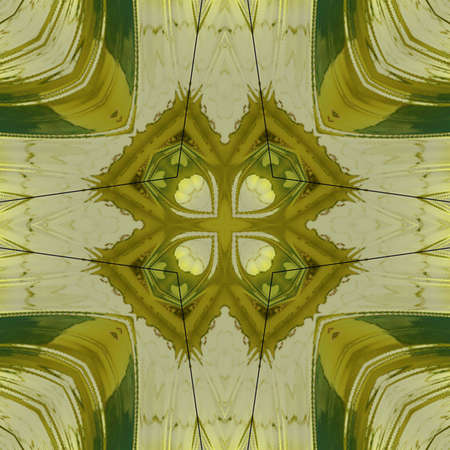 abstract shape and textureの写真素材