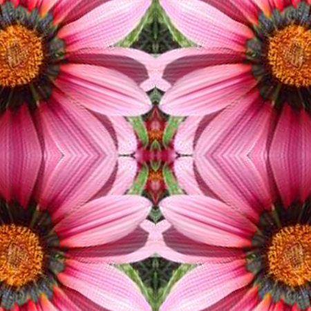 Flowered Backgroundの写真素材