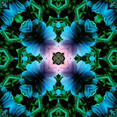 Flowered Backgroundの写真素材