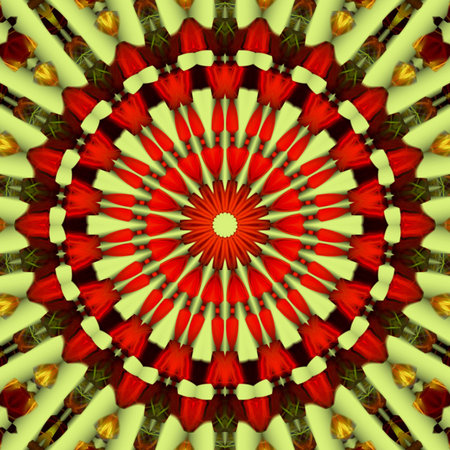 abstract shape,designの写真素材