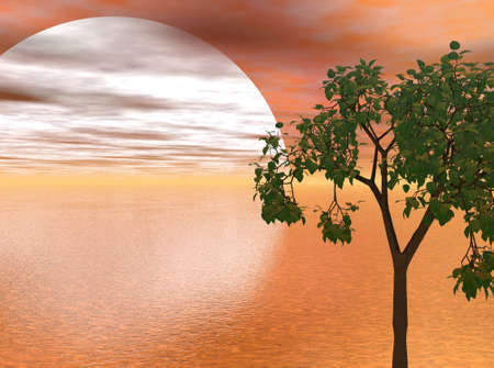 Sunset at Seaの写真素材