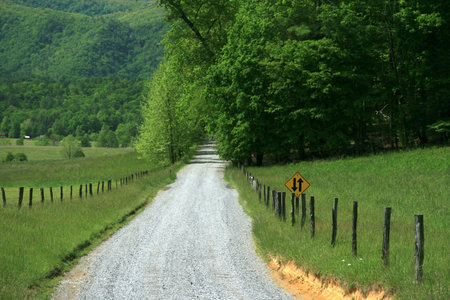 Road through Cades Cove