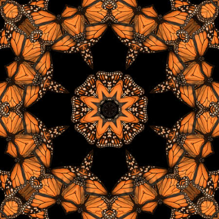 abstract design, shape, patternの写真素材