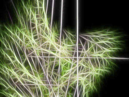 abstract shape, texture, patternの写真素材