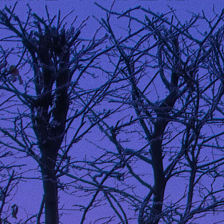 Background texture, patternの写真素材