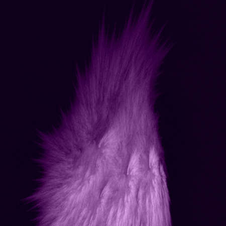 abstract shape, pattern, designの写真素材