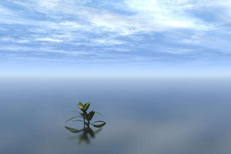 Ocean Lifeの写真素材