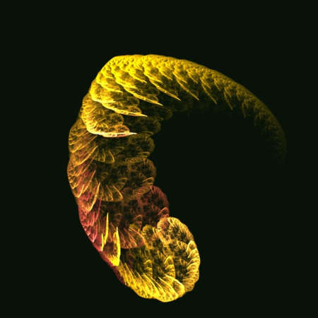 Abstract Shape, Texture, Patternの写真素材