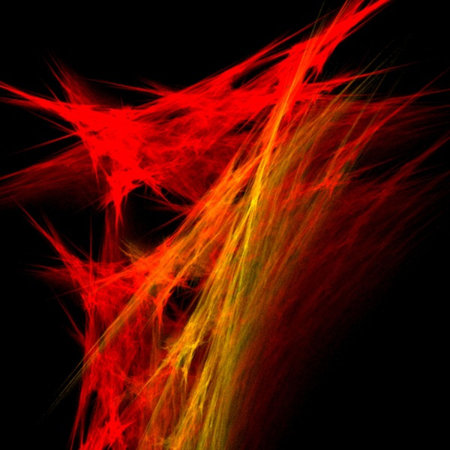 Abstract Shape, Design, Form