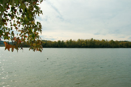 Tennessee Autumn Lake