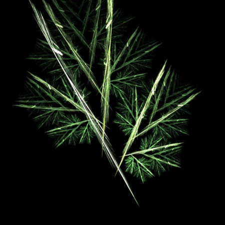 Abstract Shape, Design, Formの写真素材