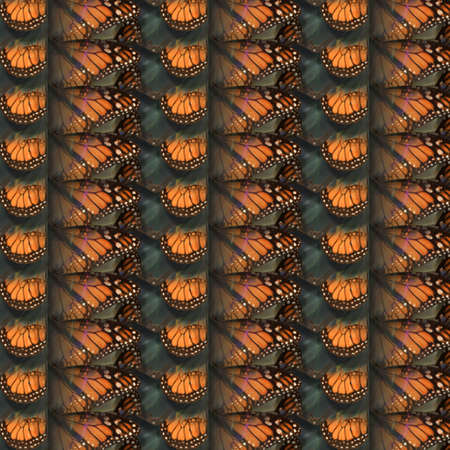 Background Texture, Patternの写真素材