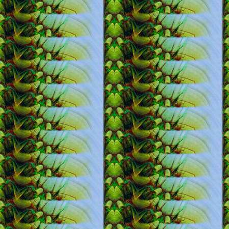 Background Designの写真素材