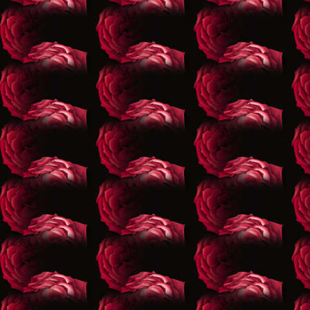 Patterns and Formsの写真素材