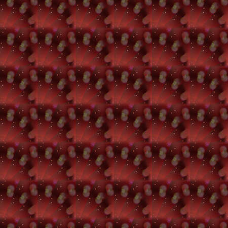 Colorful Patterns and Shapesの写真素材