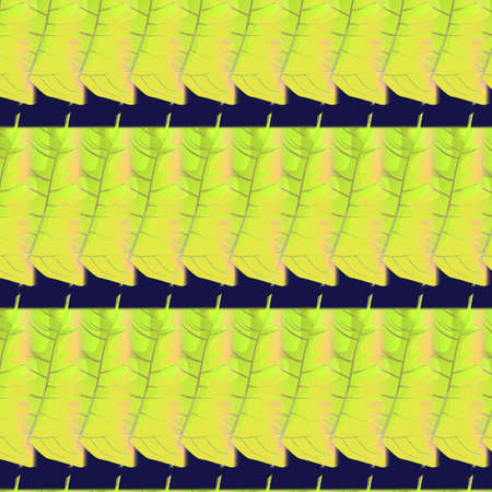 Background Patternsの写真素材