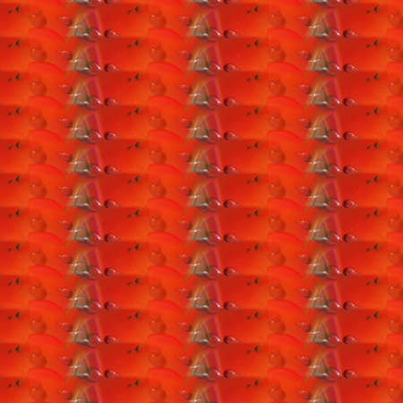 Vivid Patternsの写真素材