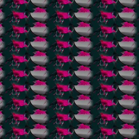 Vibrant Patternsの写真素材