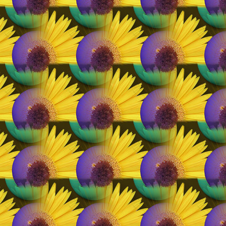 Colorful Patterns and Shapes