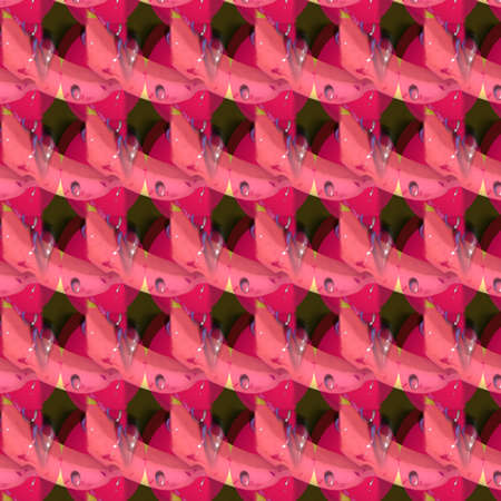 Colorful Patterns and Shapesの写真素材