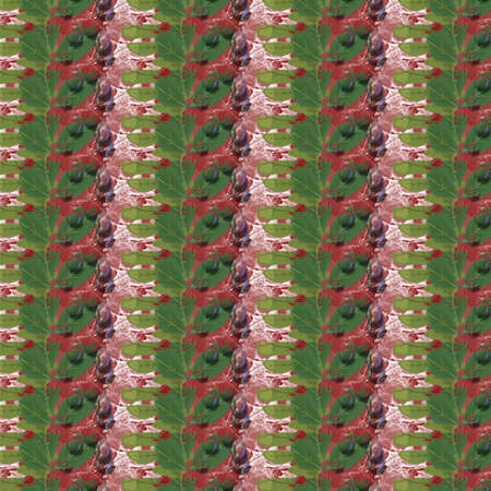 Vibrant Background Shapes and Patternsの写真素材