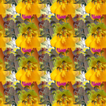 Background Patterns and Shapesの写真素材