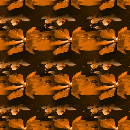 Background Patterns and Shapesの写真素材