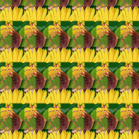 Background Patterns and Shapes