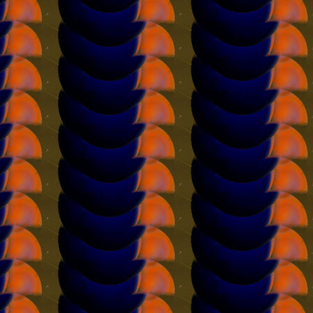 Shapes and Patterns