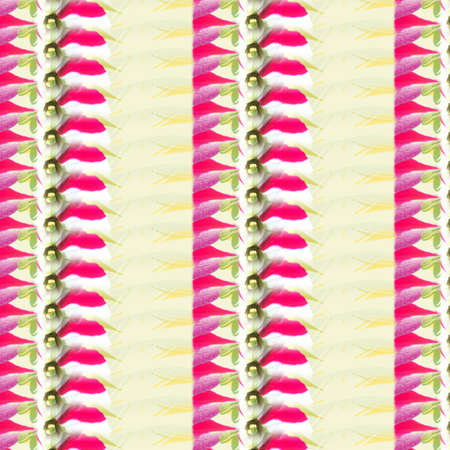 Patterns ahd Shapesの写真素材