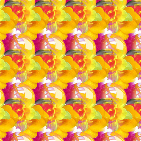 Patterns ahd Shapesの写真素材