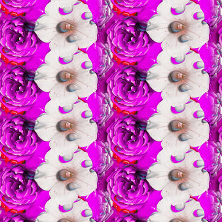 Background Patterns and Designsの写真素材