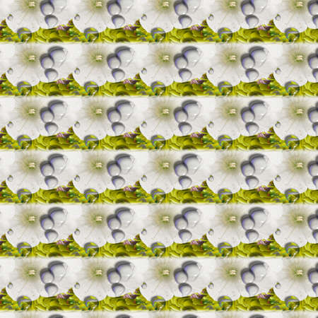 Background Patterns and Designsの写真素材