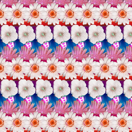 Shapes and Patterns