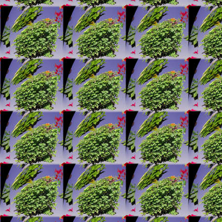 Shapes and Patternsの写真素材