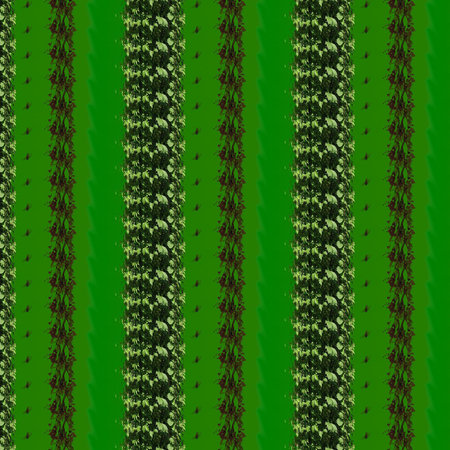 Shapes and Patterns